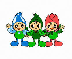 3R正面
