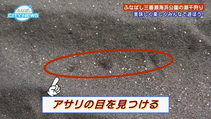 アサリを採るコツ(5月1日放送)