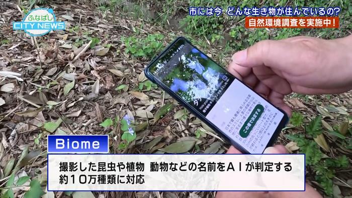 バイオーム