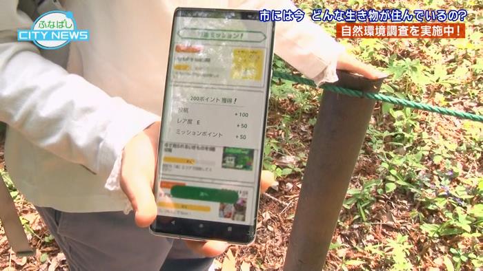 ポイント稼ごう