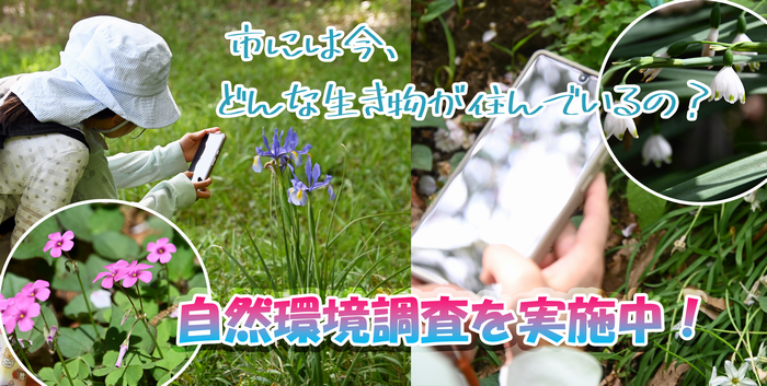 サムネ（自然環境調査）