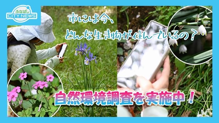 サムネ（5月15放送）