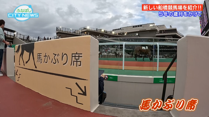 パドックにもユニークな仕掛けがあります
