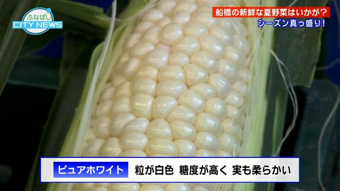 とうもろこし