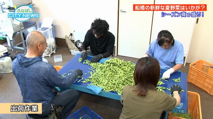 枝豆