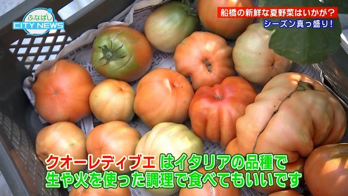 トマト