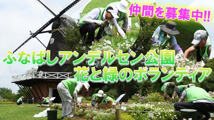サムネ（花緑ボランティア）