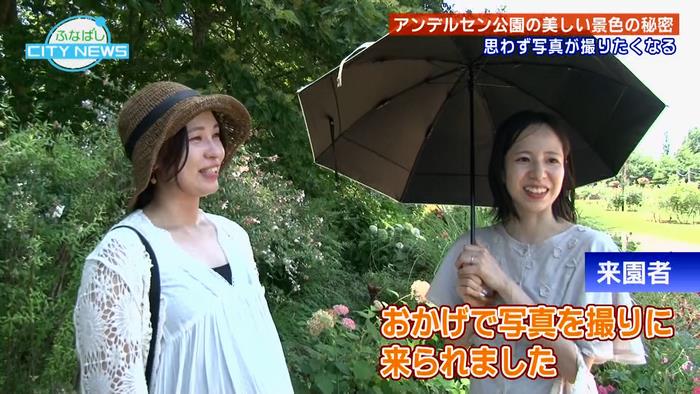 花緑ボラ4