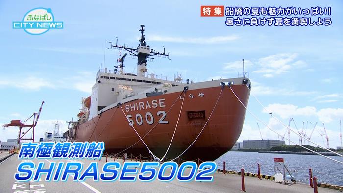 SHIRASE