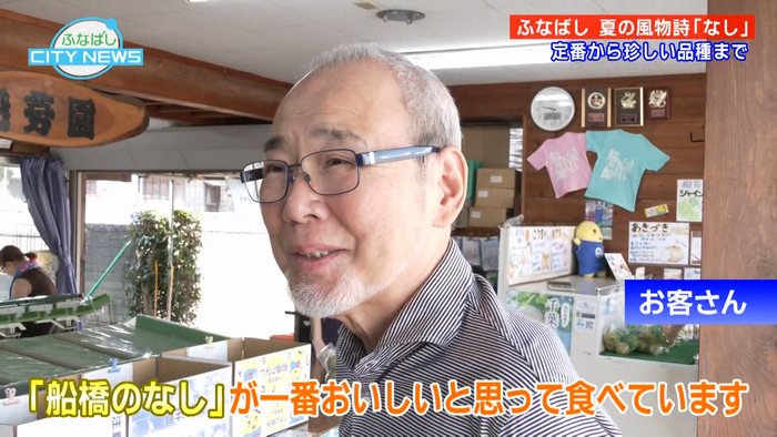 （梨）船橋のなしが一番！