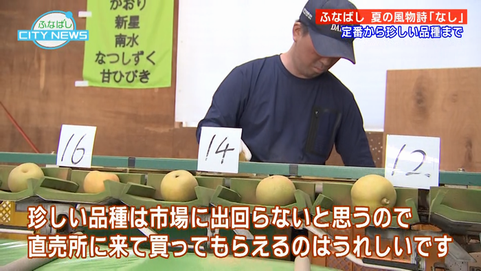 （梨）直売の魅力