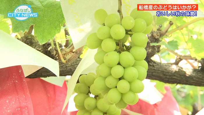 今年の出来は…？