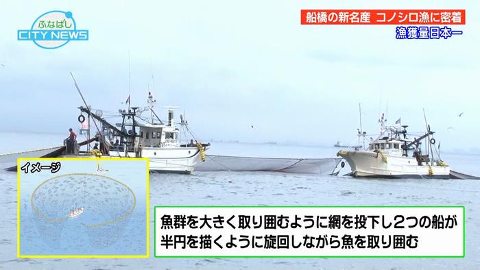 コノシロを漁獲する「まき網漁」とは?
