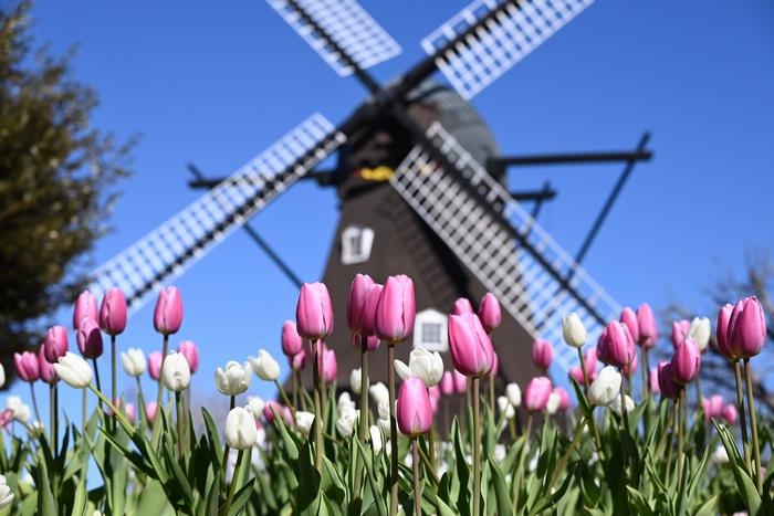 アンデルセン公園