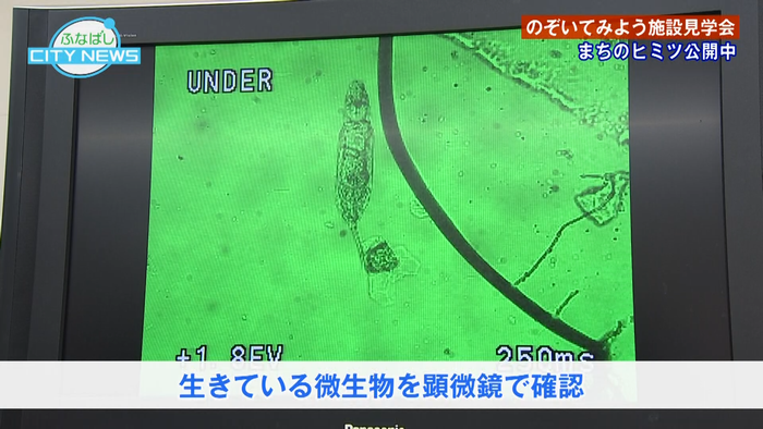 水をきれいにしてくれるのは…