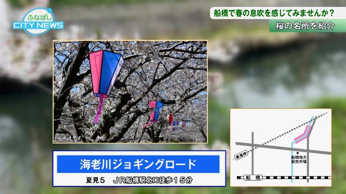 海老川ジョギングロード