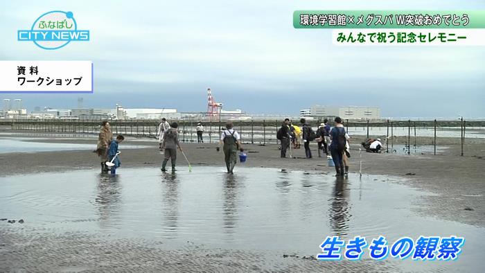 生きもの観察やクッキングなどさまざまなイベントを開催!