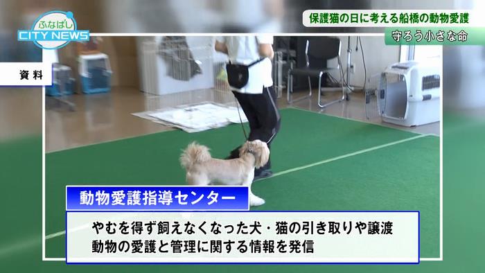 動物愛護指導センターの役割とはー