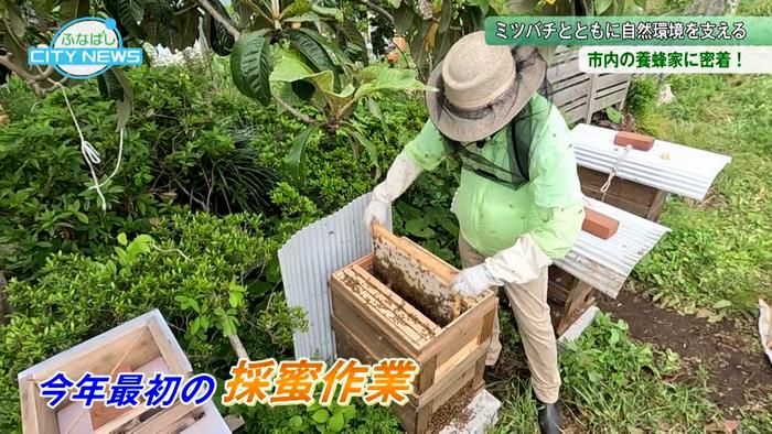 今年最初の採蜜作業が行われました!