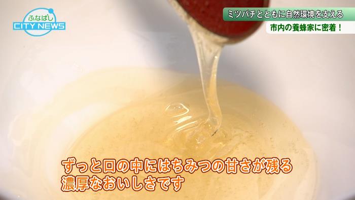 糖度80度以上の採れたてはちみつを実食!