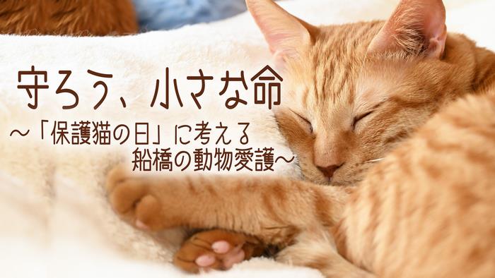サムネ(5月15日放送)1