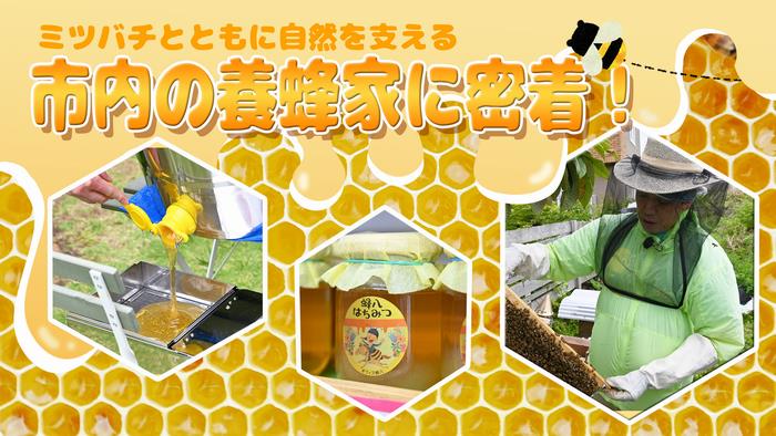 サムネ(5月15日放送)2