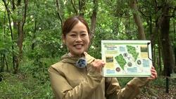 自然散策マップ
