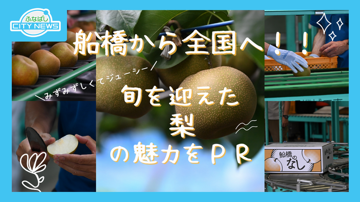 サムネ（8月15日放送）