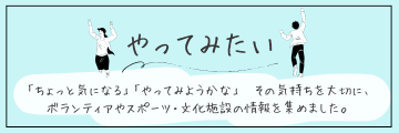 やってみたい