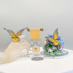 北井小夜子氏黄綬褒章市長表敬3