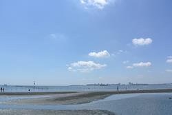 東京湾に残された貴重な干潟“三番瀬”。自然を感じることのできる貴重な場所です。