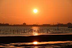 黄昏時には、浦安方面を背景にして夕陽を撮影できます。