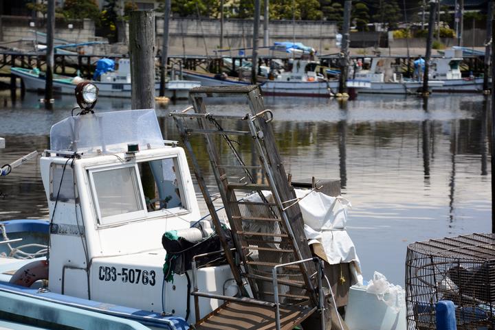 大都市でありながら、海の恵みがいっぱいです。