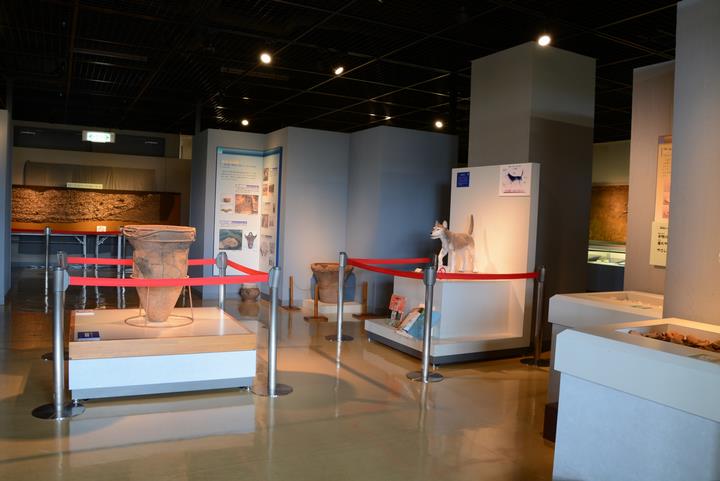 3階は船橋市内で出土した縄文時代の土器や石器、貝塚パネルなどを展示しています。