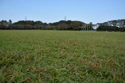 【陸上競技場】インフィールドは天然芝。緑に囲まれて行う運動は、最高に気持ちが良いです！