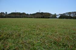 【運動公園】陸上競技場　その4