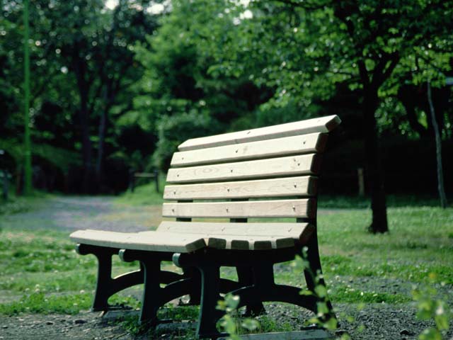 公園のベンチの写真