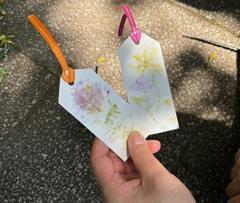 虫観察