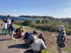 秋の親子自然散策会3