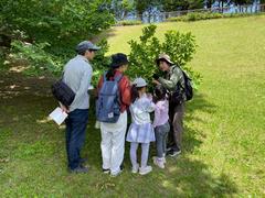 植物観察(令和8年度 春の親子自然散策会)