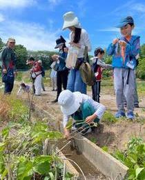 ヨシ舟(令和8年度 春の親子自然散策会)