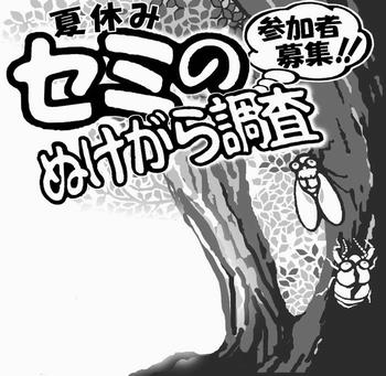 セミのぬけがら調査募集