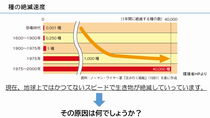 多様性(1)