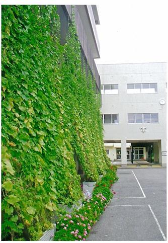 特別賞　坪井中学校