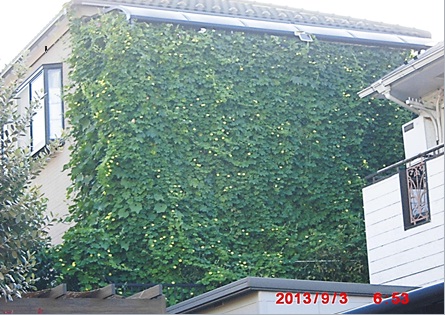 山田惠子様