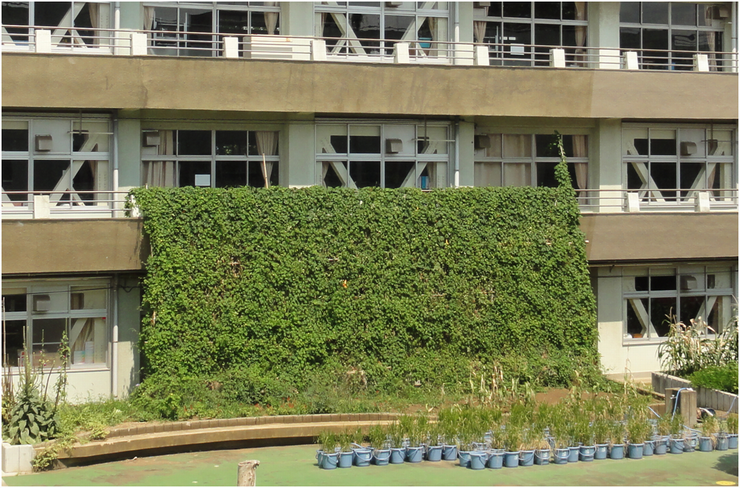 三山小学校