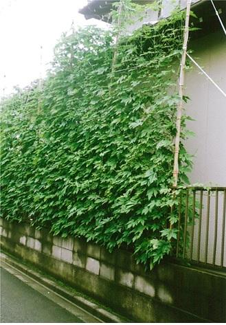 櫻井俊男様写真