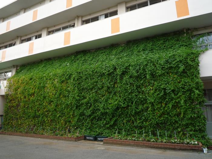 高根小学校様写真