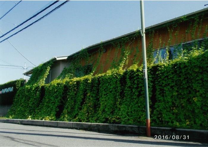船橋光の子保育園写真