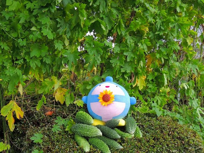 ふなわりくん